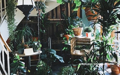 Indoorgarten