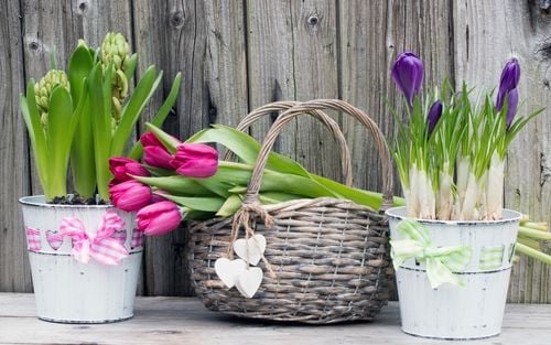 Osterdeko für den Garten