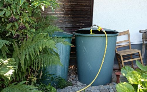 Regenwasser sammeln