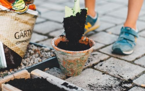 Urban Gardening