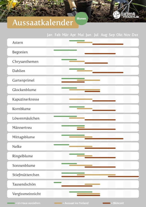 Aussaatkalender | Garten-und-Freizeit