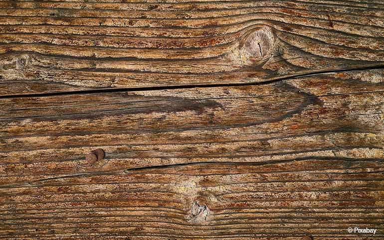 Was ist der Unterschied zwischen Eco-Teak und Old-Teak?